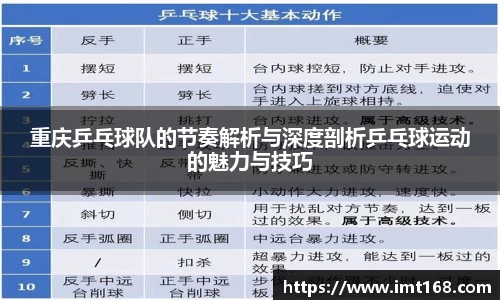 3377体育官网