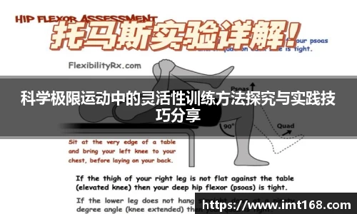 3377体育官网