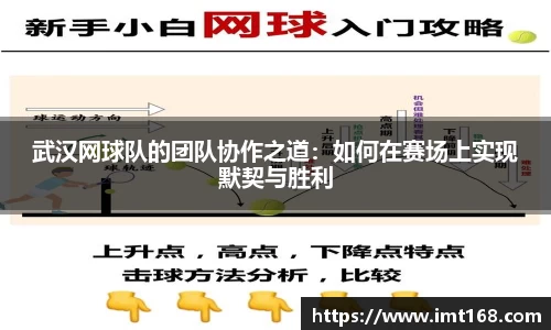 3377体育