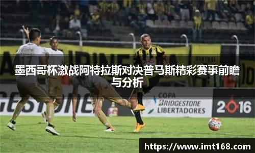 3377体育官网