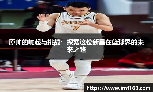 3377体育官网