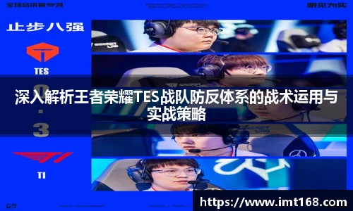 3377体育官网