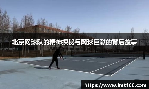 3377体育官网