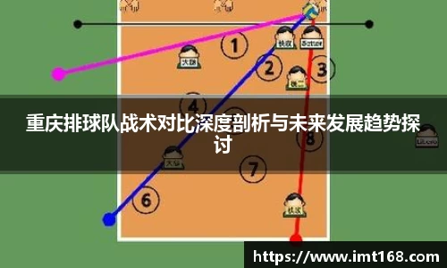 3377体育